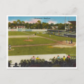 honkbalstadion Clearwater Florida Briefkaart (Voorkant)