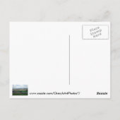 Honkbalveld bij Morgantown, WV Briefkaarten (Achterkant)