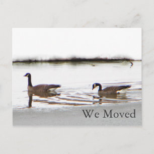 Honkers - Canada Gese Aankondigingskaart