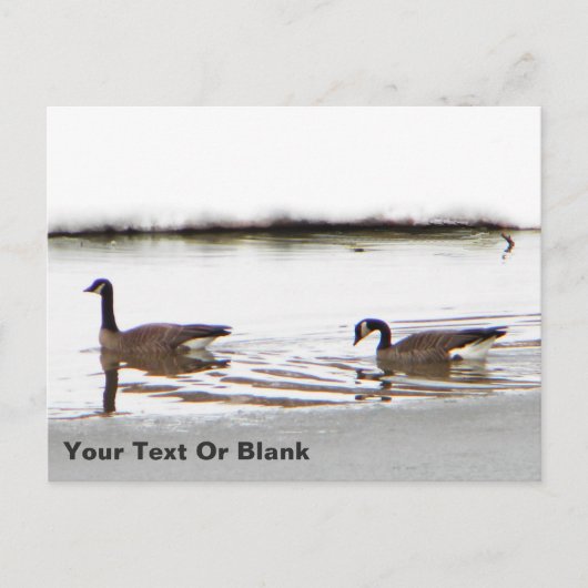 Honkers - Canada Gese Briefkaart (Voorkant)