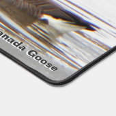 Honkers - Canada Gese Bureaumat (Hoek)