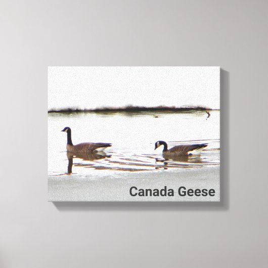 Honkers - Canada Gese Canvas Afdruk (Voorkant)