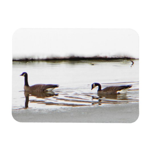 Honkers - Canada Gese Magneet (Horizontaal)