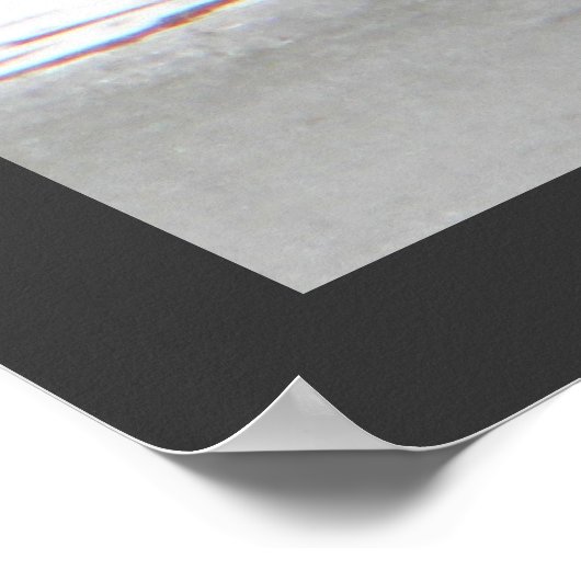 Honkers - Canada Gese Poster (Hoek)