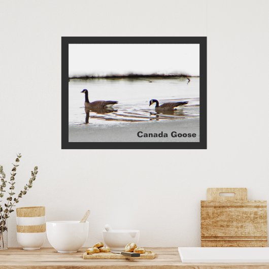 Honkers - Canada Gese Poster (Keuken)
