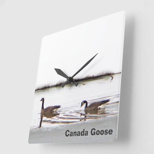 Honkers - Canada Gese Vierkante Klok (Hoek)