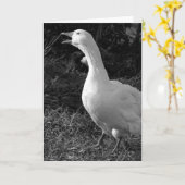 Honking Sebbie Kaart (Gele Bloem)