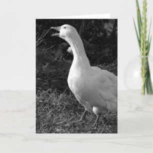 Honking Sebbie Kaart