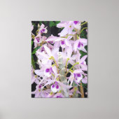 Honohono Orchids Canvas Afdruk (Voorkant)