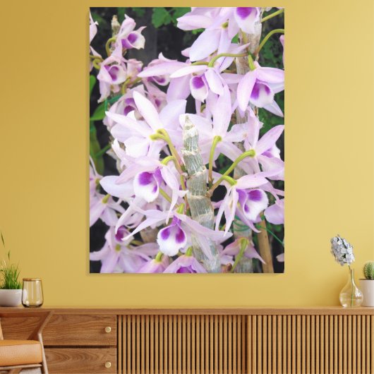 Honohono Orchids Canvas Afdruk (Insitu (Woonkamer))