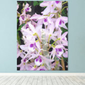 Honohono Orchids Canvas Afdruk (Insitu (Houten vloer))