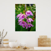 Honohono Orchids en Ferns Poster (Keuken)