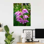 Honohono Orchids en Ferns Poster (Thuiskantoor)