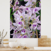 Honohono Orchids Poster (Keuken)