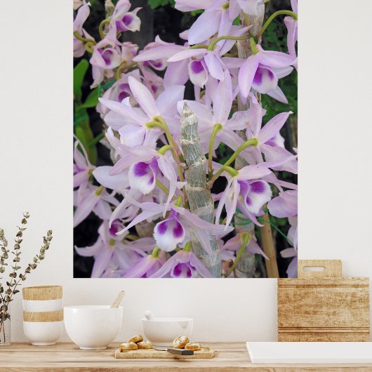 Honohono Orchids Poster (Keuken)