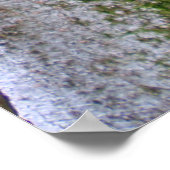 Honohono Orchids Poster (Hoek)