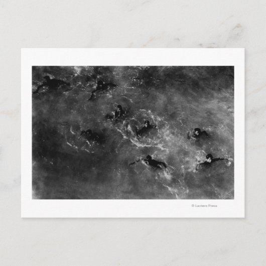 Honolulu, HA - Duikende jongens nabij Honolulu Har Briefkaart (Voorkant)