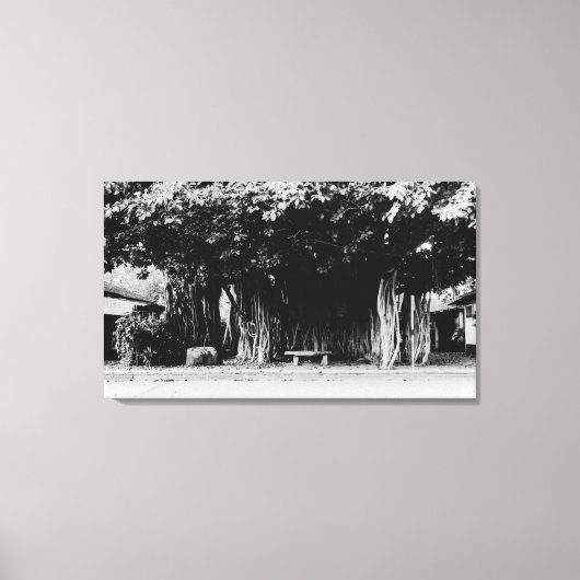 Honolulu, Hawaii - De worstboom Canvas Afdruk (Voorkant)
