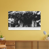 Honolulu, Hawaii - De worstboom Canvas Afdruk (Insitu (Woonkamer))