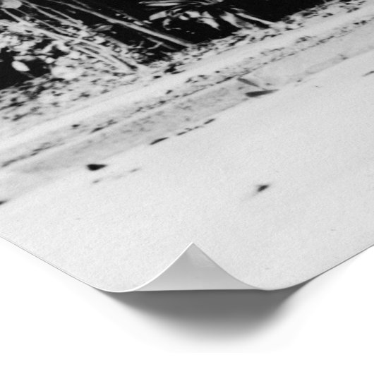 Honolulu, Hawaii - De worstboom Poster (Hoek)