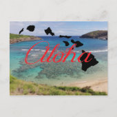 Honolulu Hawaii Hanauma Bay Briefkaart (Voorkant)