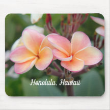 Honolulu Hawaii Plumeria Muismat