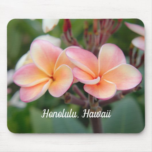 Honolulu Hawaii Plumeria Muismat (Voorkant)