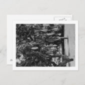 Honolulu, HI - Universiteit van Hawaii Briefkaart (Voorkant / Achterkant)