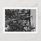 Honolulu, HI - Universiteit van Hawaii Briefkaart (Voorkant)