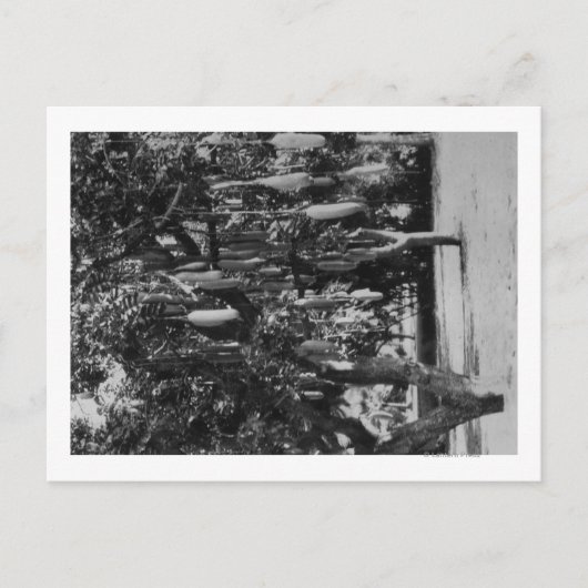 Honolulu, HI - Universiteit van Hawaii Briefkaart (Voorkant)