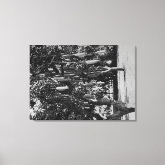 Honolulu, HI - Universiteit van Hawaii Canvas Afdruk (Voorkant)