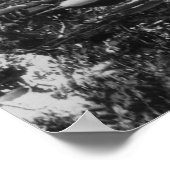 Honolulu, HI - Universiteit van Hawaii Poster (Hoek)