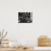 Honolulu, HI - Universiteit van Hawaii Poster (Keuken)