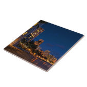 Honolulu, Oahu, Hawaii. Nachtblootstelling Tegeltje (Zijkant)