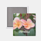 Honolulu Plumeria Magnet (Voorkant / Achterkant)
