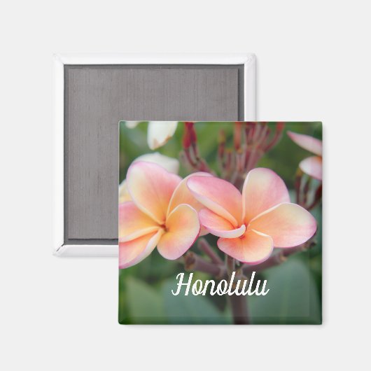 Honolulu Plumeria Magnet (Voorkant / Achterkant)