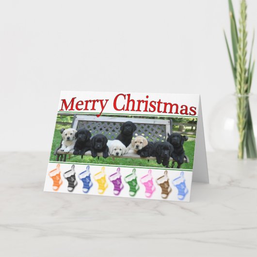 Honor Bench Christmas Feestdagen Kaart (Voorkant)