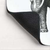 HONOR EN TRIBUTE MUISMAT (Hoek)