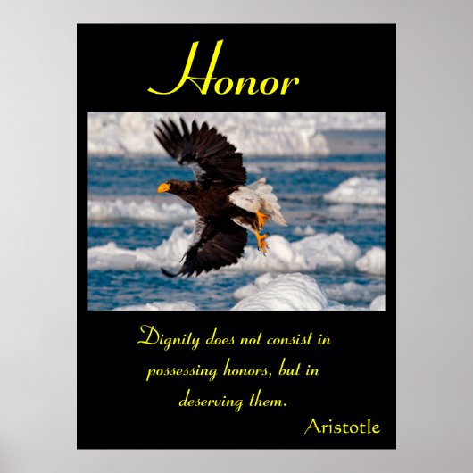Honor Posters adelaar 11 (Voorkant)
