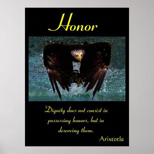 Honor Posters adelaar 20 (Voorkant)