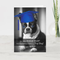 Honor Roll feliciteert Boston Terrier Dog