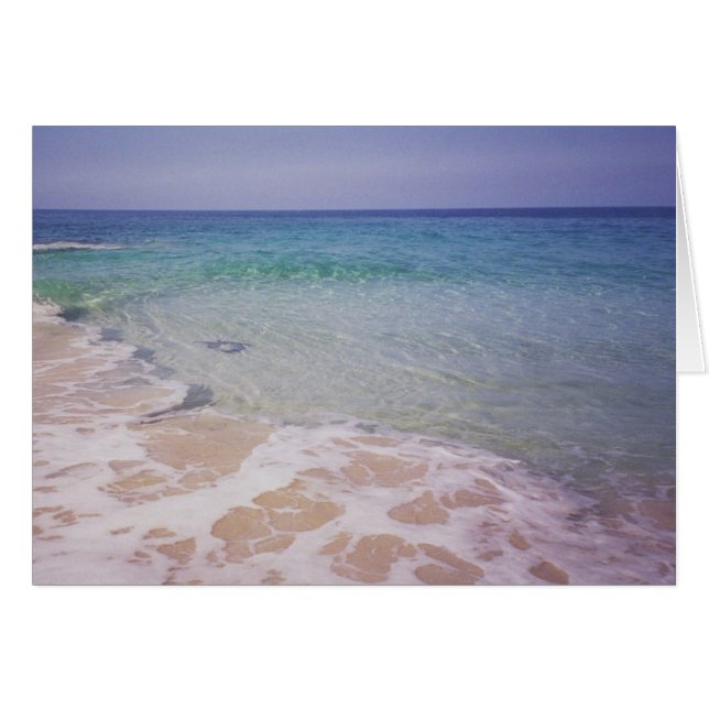 Honu bij La a'Loa Beach (Voorkant Horizontaal)