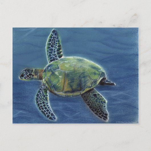 Honu Briefkaart (Voorkant)