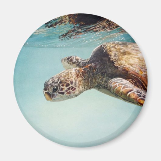 Honu door Marilyn Draag Magneet (Voorkant)