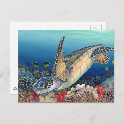 Honu (Groene Zee schildpad) Briefkaart (Voorkant / Achterkant)