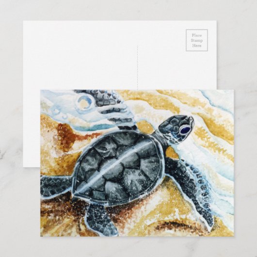 Honu Hatchling (Groene Zee schildpad) Briefkaart (Voorkant / Achterkant)