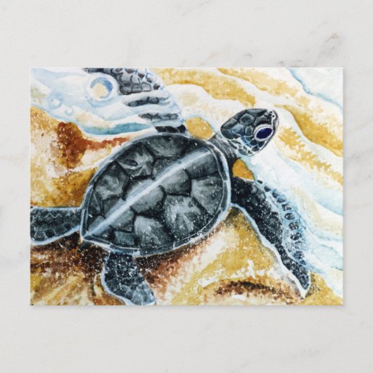 Honu Hatchling (Groene Zee schildpad) Briefkaart (Voorkant)