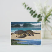 Honu, Hawaiian Green Zee Turtle, Oahu, North Shore Briefkaart (Staand voorkant)