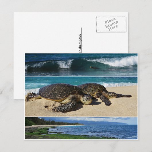 Honu, Hawaiian Green Zee Turtle, Oahu, North Shore Briefkaart (Voorkant / Achterkant)
