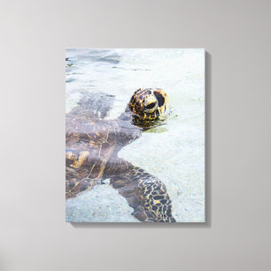 Honu Hawaiian Zee Turtle - Hawaii Turtles Canvas Afdruk